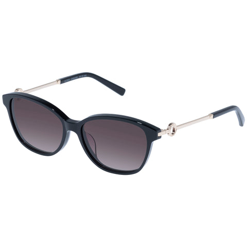 Oroton Alora Black Female D-Frame Sunglasses | Eyewear Index