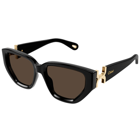 Chloe Ch0235s Black Female Cat-Eye Sunglasses | Eyewear Index