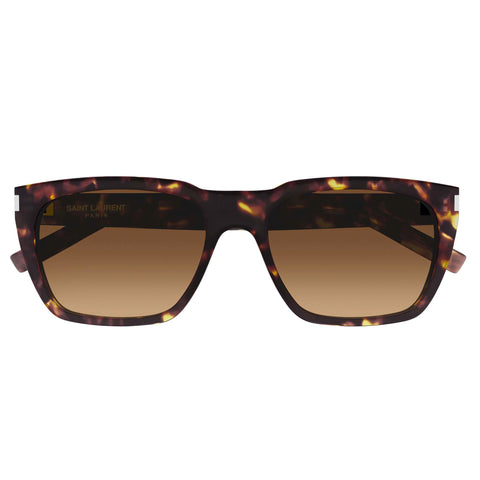 Saint Laurent Sl598 Havana Male D-Frame Sunglasses | Eyewear Index