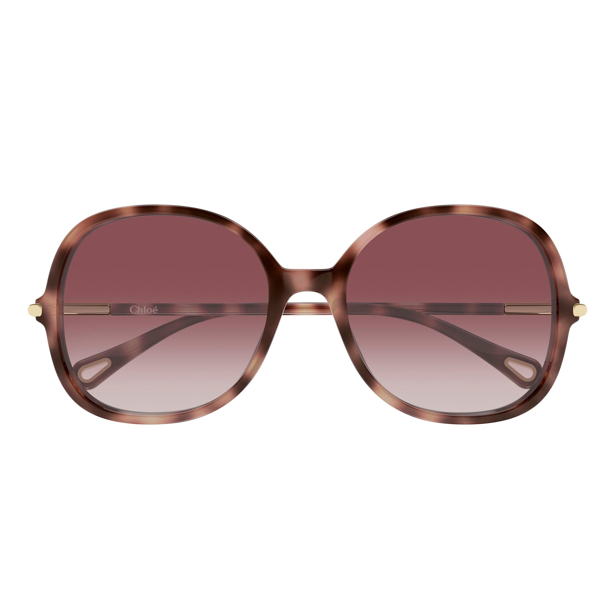 Chloe Ch0383s Havana Female Round Sunglasses | Eyewear Index