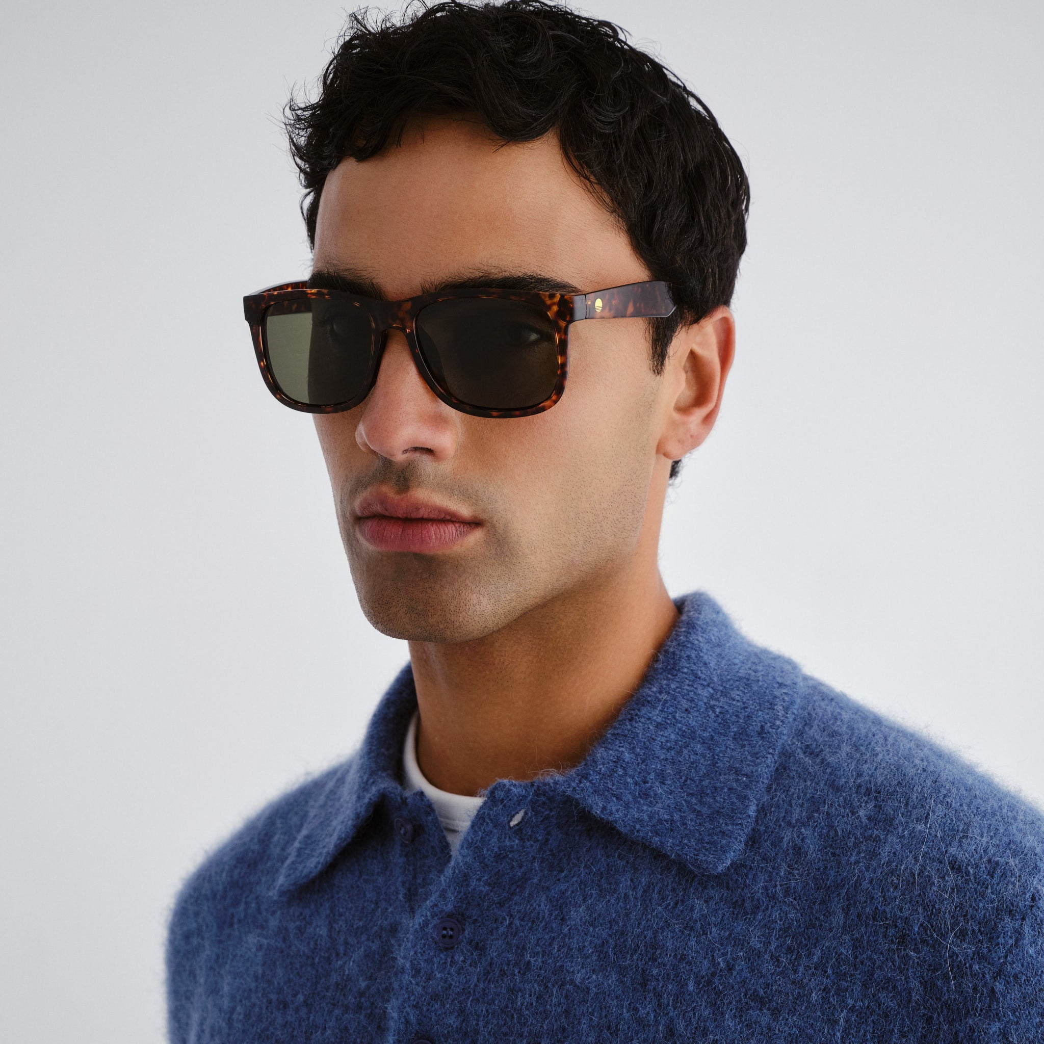 Solarized Classic Square Dark Tort Male D-Frame Sunglasses | Eyewear Index