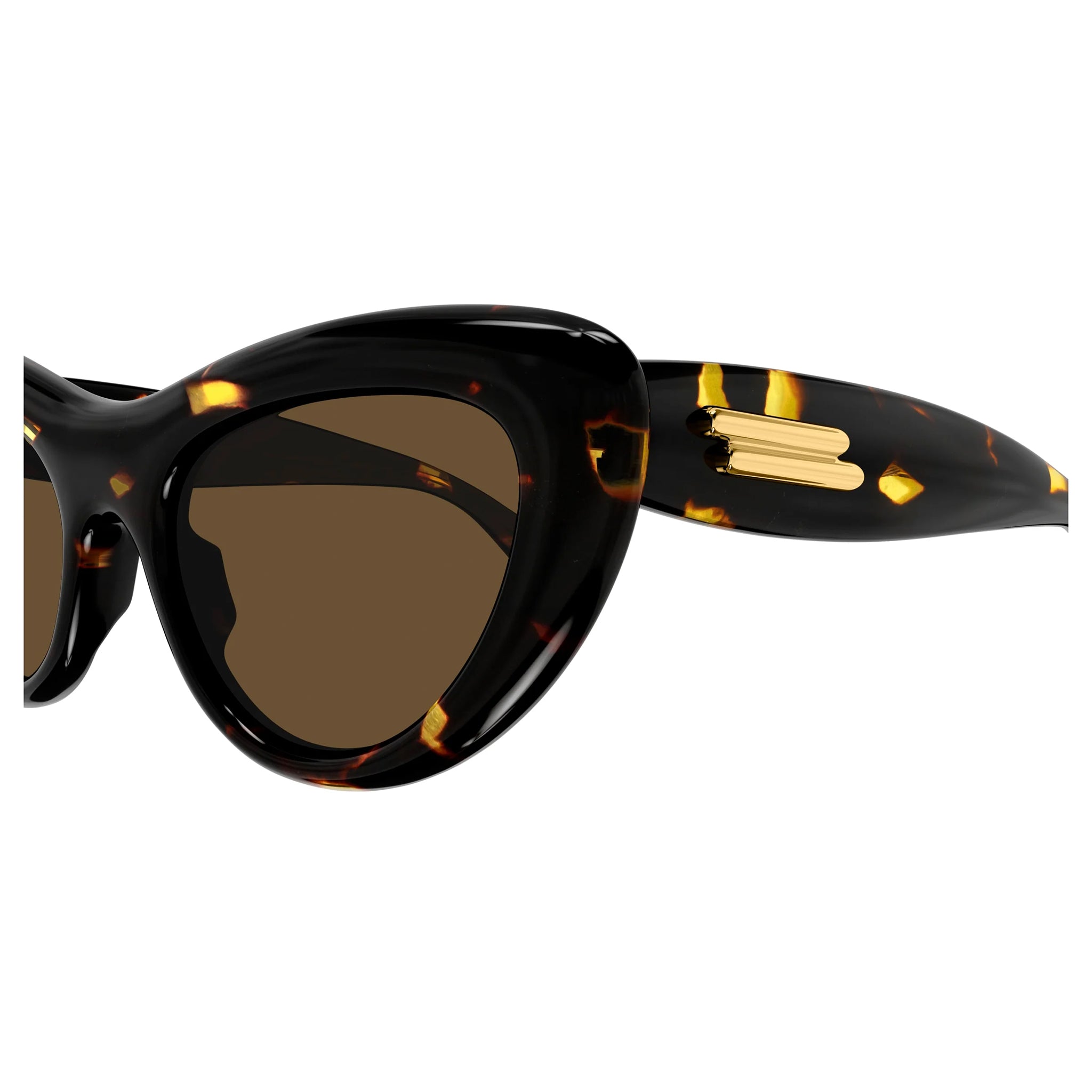 Bottega Veneta Bv1282s Havana Female Cat-Eye Sunglasses | Eyewear