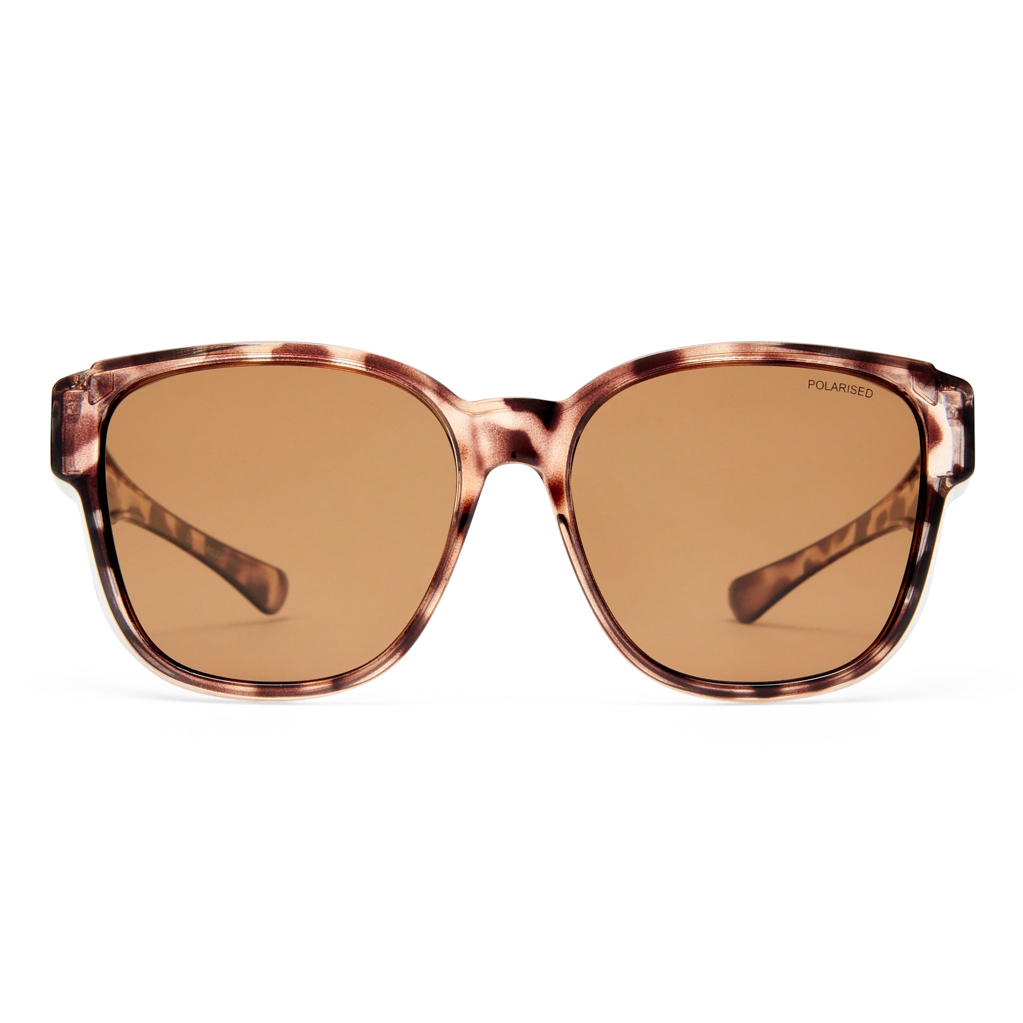 Cancer Council Dunsborough Milky Tort Female D-Frame Sunglasses | Eyewear Index