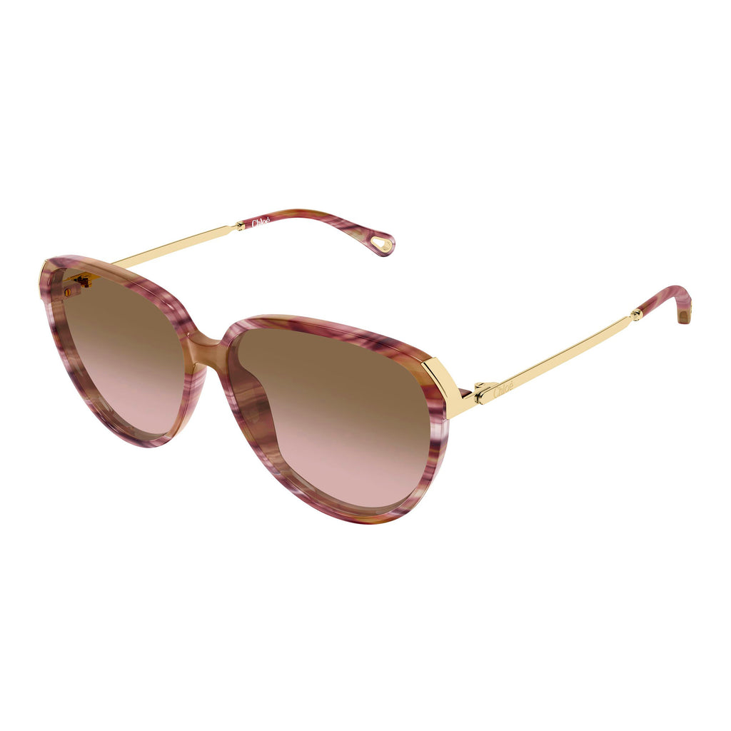 Chloe Ch0406s Havana Female Round Sunglasses | Eyewear Index