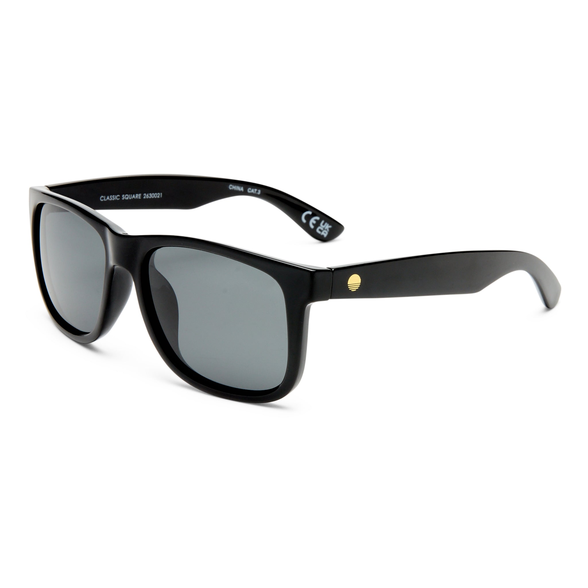 Solarized Classic Square Black Male D-Frame Sunglasses | Eyewear Index