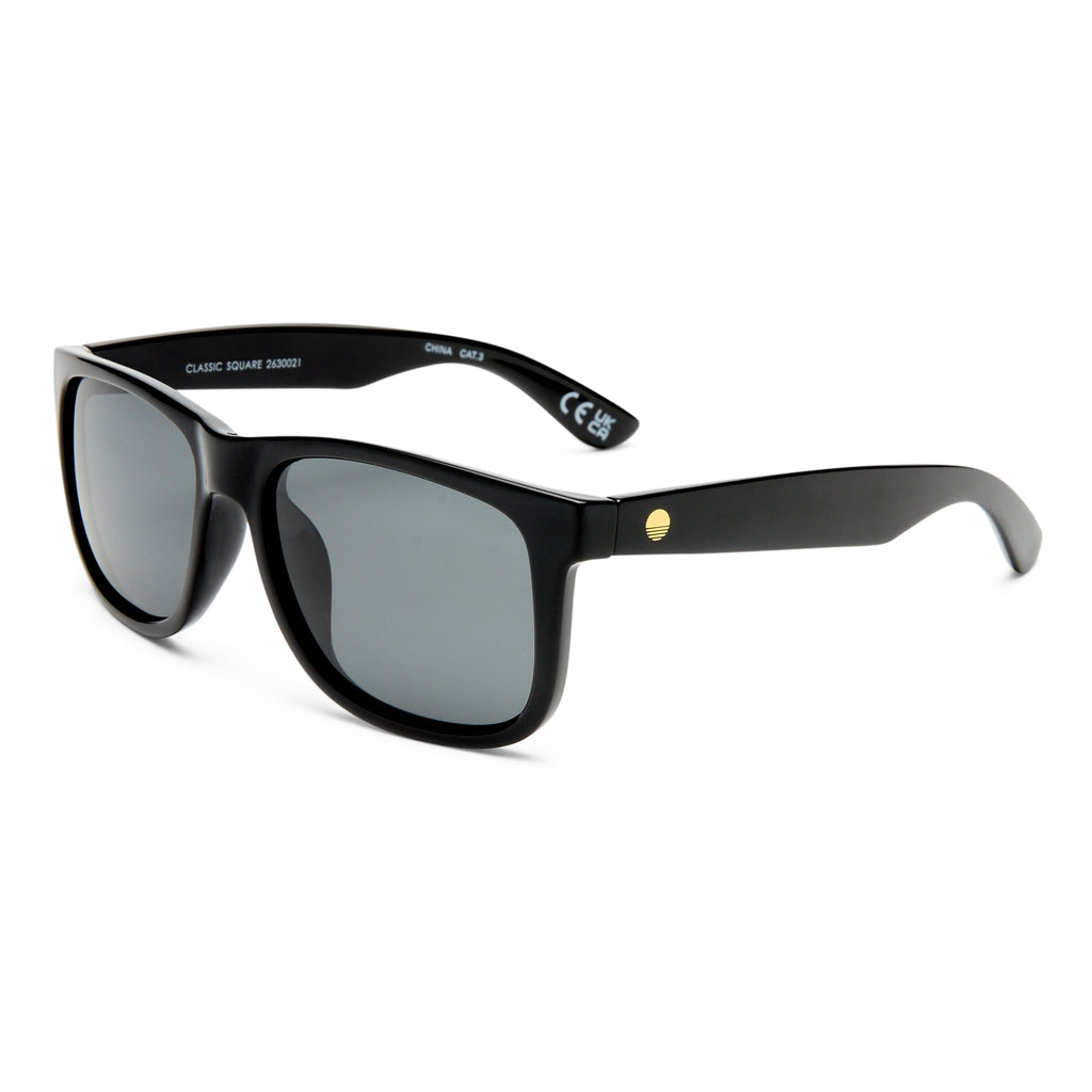 Solarized Classic Square Black Male D-Frame Sunglasses | Eyewear Index