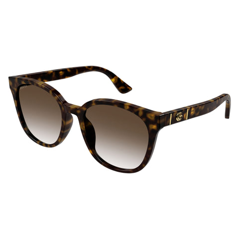 Gucci Gg1122sa Havana Uni-Sex Round Sunglasses | Eyewear Index