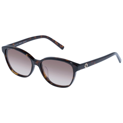 Oroton Adalee Signature Tort Female D-Frame Sunglasses | Eyewear Index