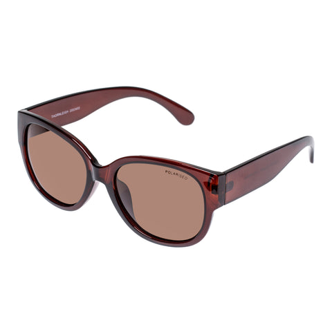 Cancer Council Thornleigh Chocolate Female Round Sunglasses | Eyewear Index