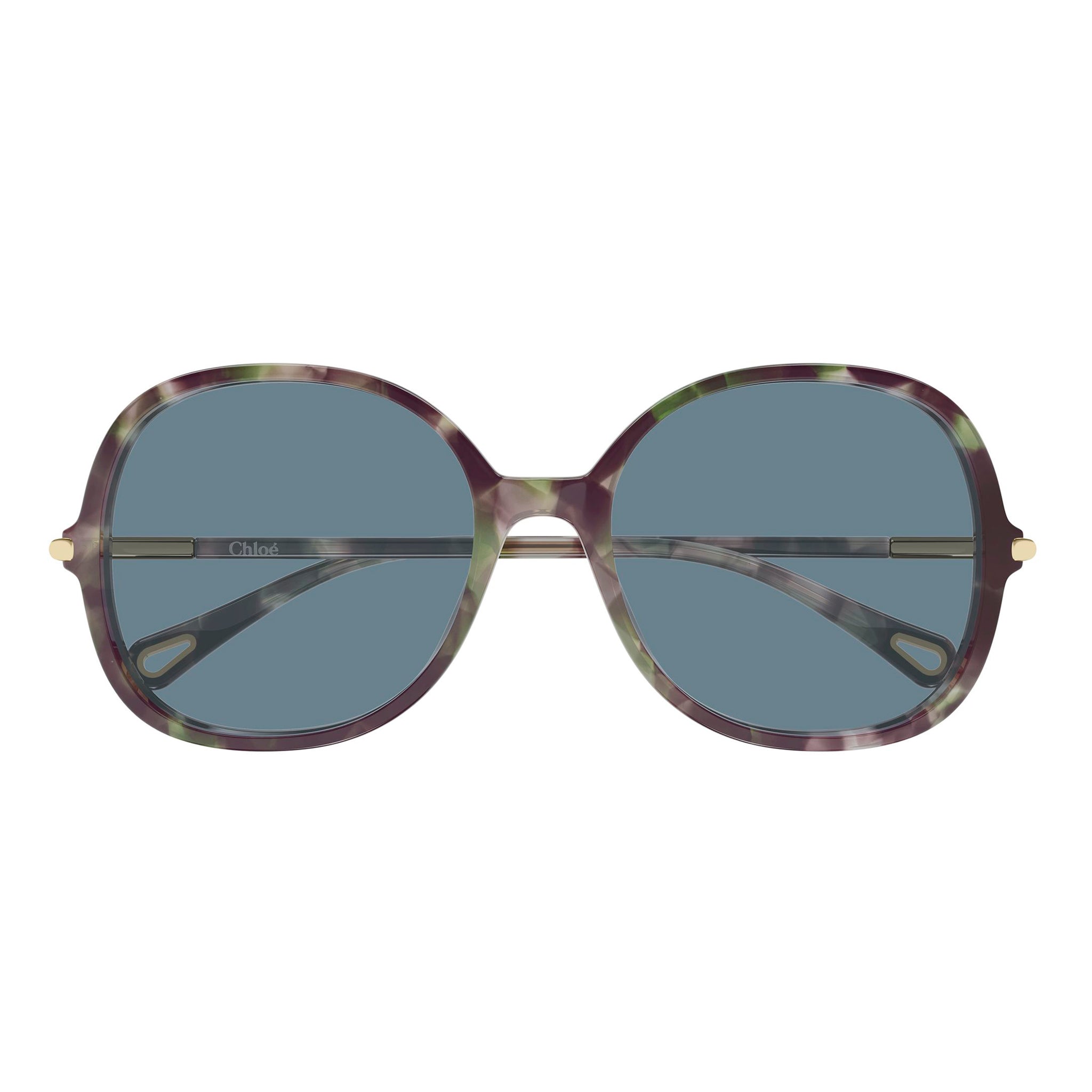 Chloe Ch0383s Havana Female Round Sunglasses | Eyewear Index