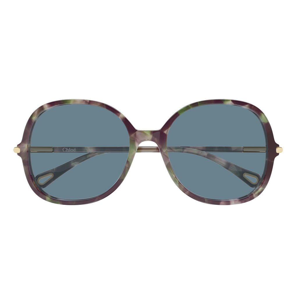 Chloe Ch0383s Havana Female Round Sunglasses | Eyewear Index