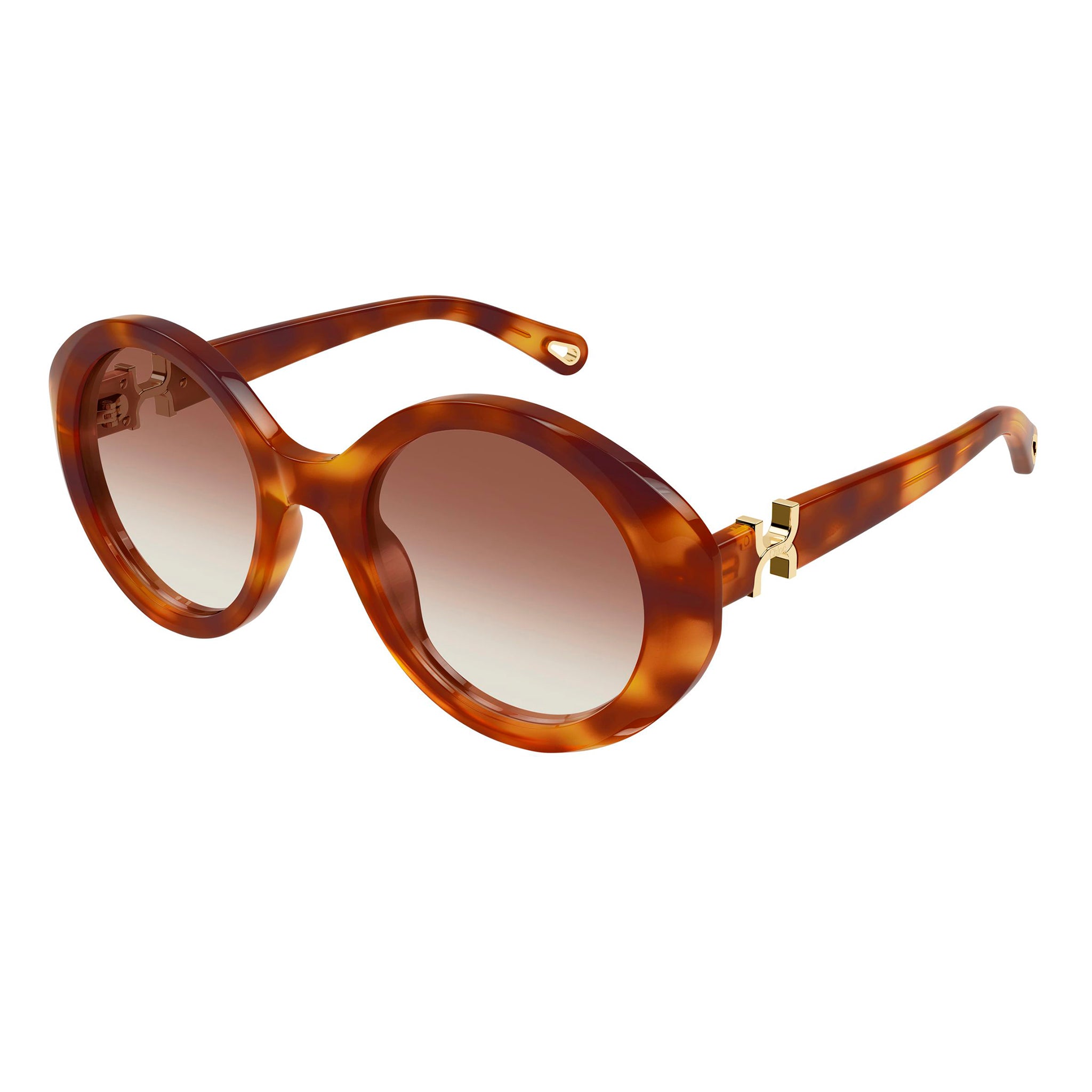 Chloe Ch0332s Havana Female Round Sunglasses | Eyewear Index