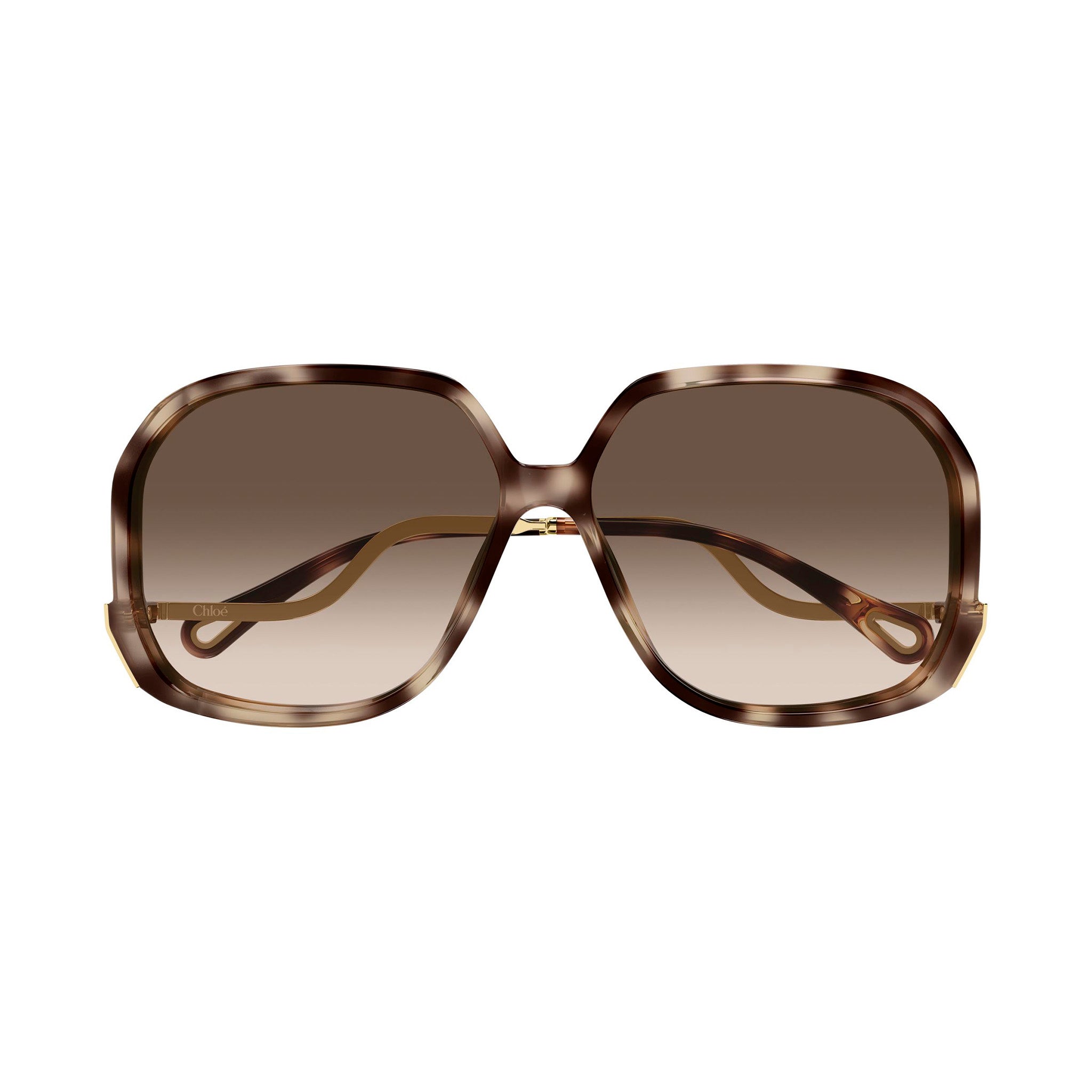 Chloe Ch0404s Havana Female Butterfly Sunglasses | Eyewear Index