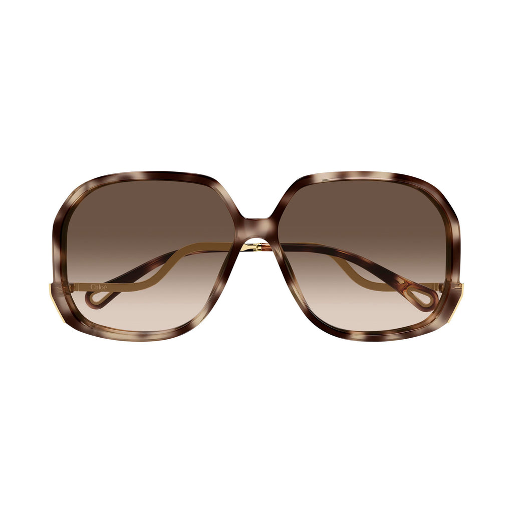 Chloe Ch0404s Havana Female Butterfly Sunglasses | Eyewear Index