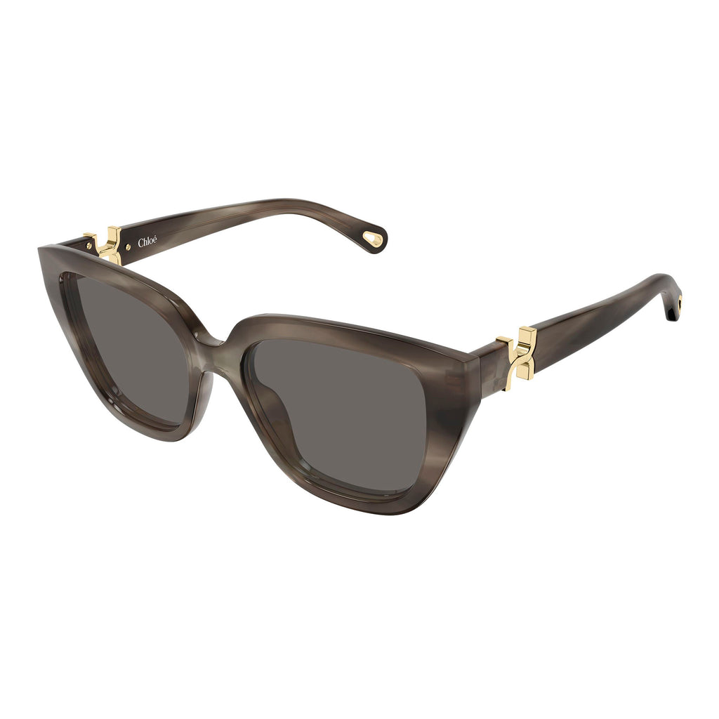 Chloe Ch0410s Havana Female Cat-Eye Sunglasses | Eyewear Index