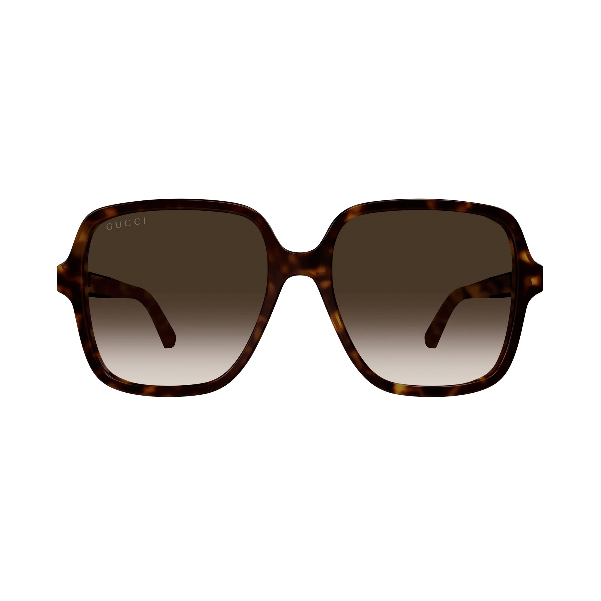 Gucci Gg1189sa Havana Female Square Sunglasses | Eyewear Index