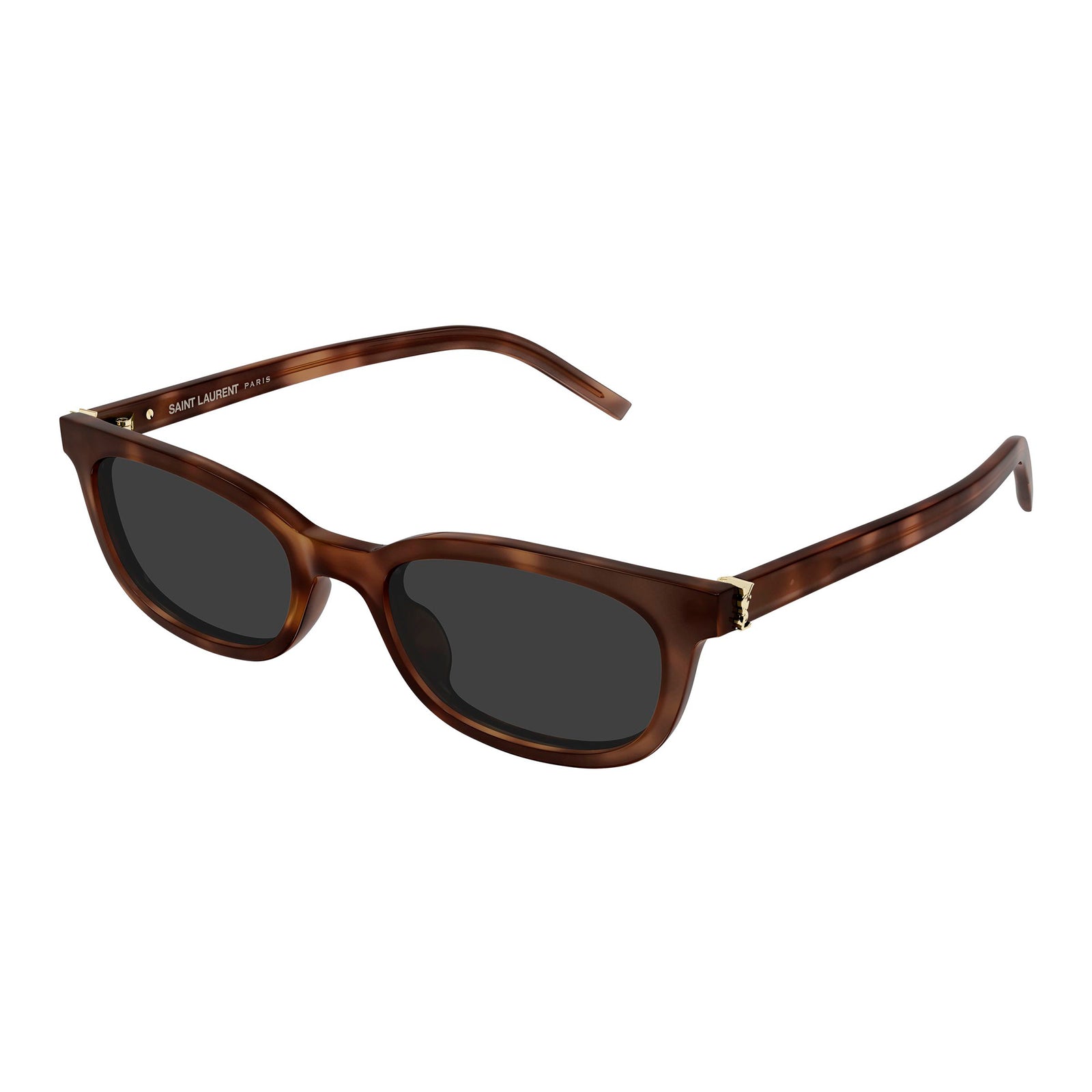 Saint Laurent Slm160f Havana Female Oval Sunglasses | Eyewear Index