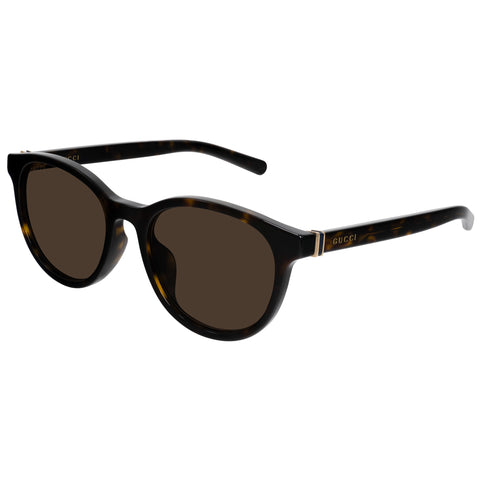 Gucci Gg1674sk Havana Male Round Sunglasses | Eyewear Index