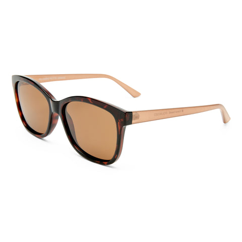 D-Frame Sunglasses