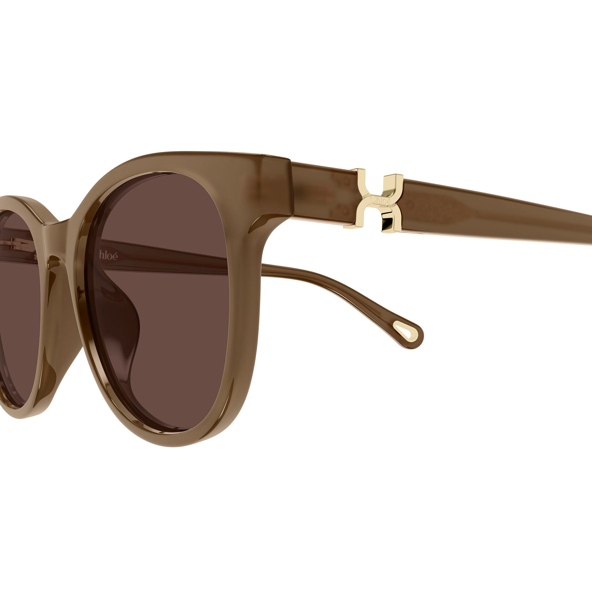 Chloe Ch0375sk Brown Female Round Sunglasses | Eyewear Index