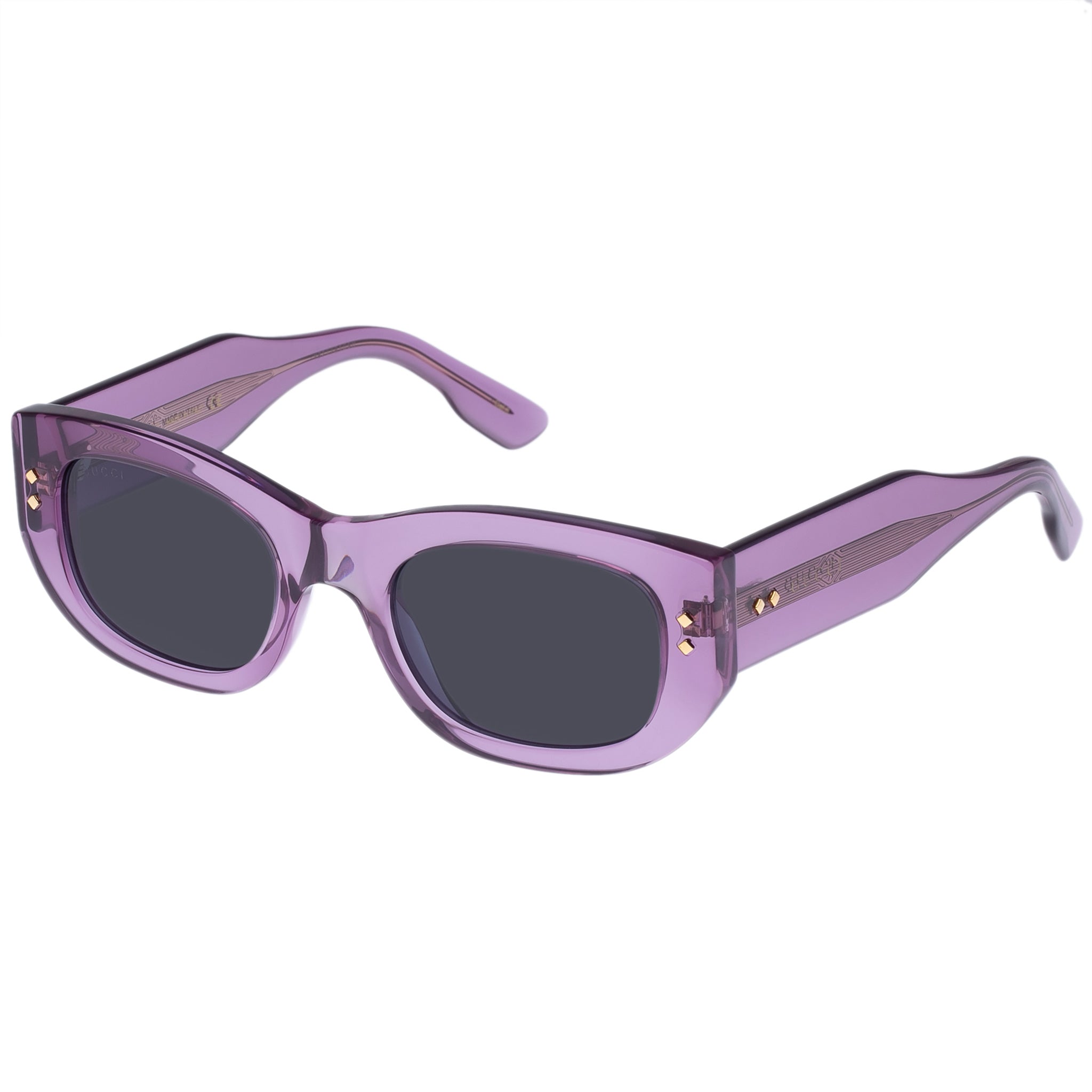 Women's BGL 2009 Shiny Purple and Gunmetal Sunglasses - Purple